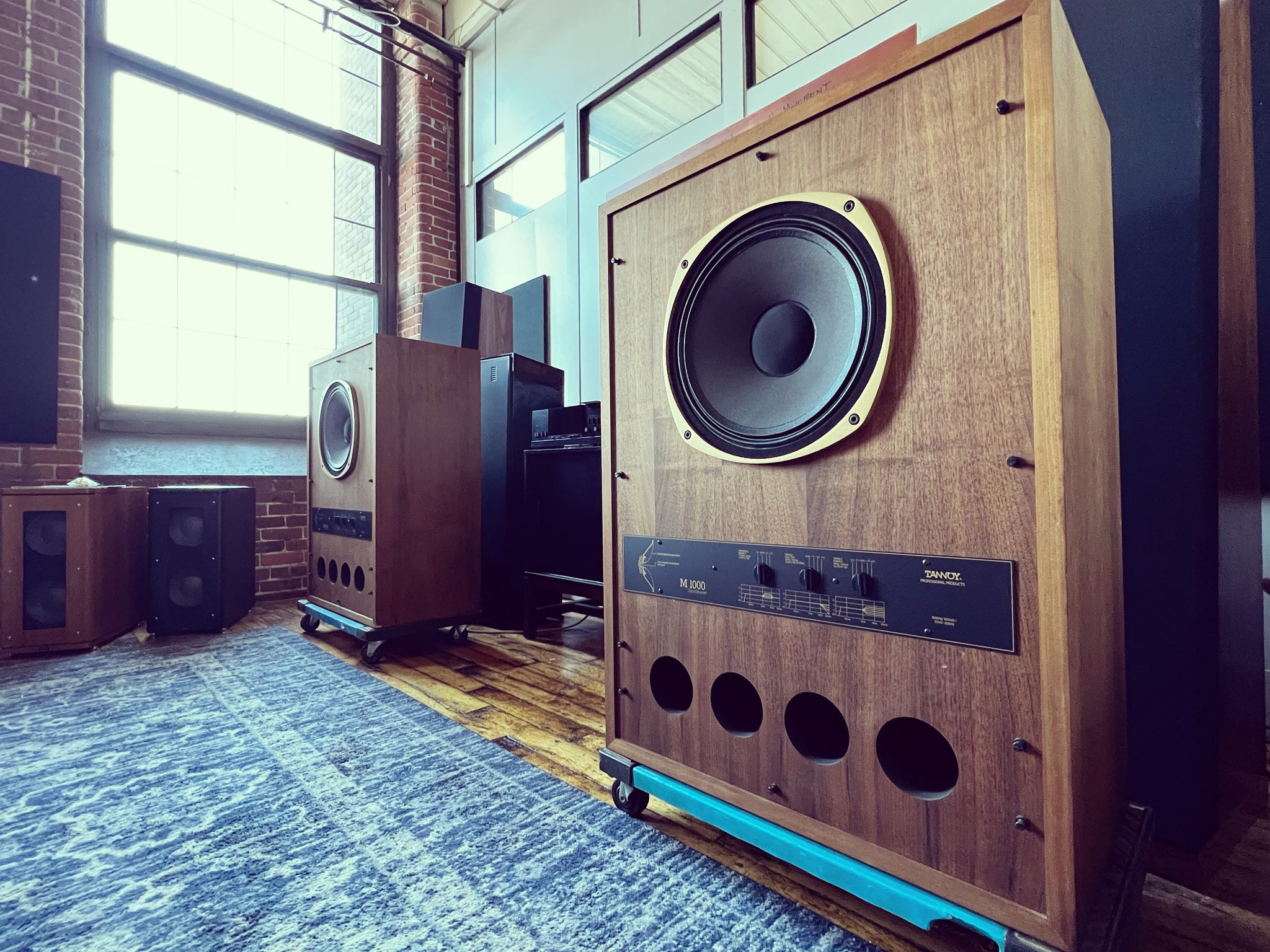 Tannoy SyncSource M-1000 Super Red Studio Monitors, A Mouth