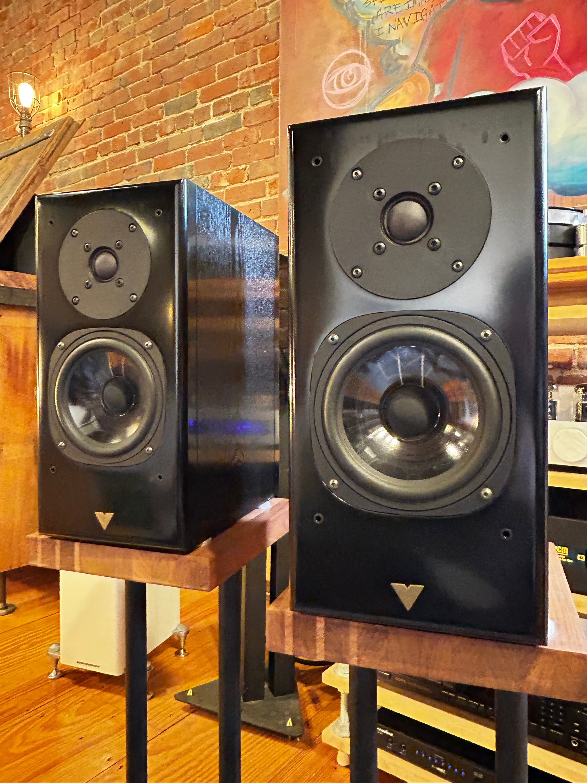 Vienna Acoustics Haydn, Bookshelf Masterpieces - SOLD – Holt Hill