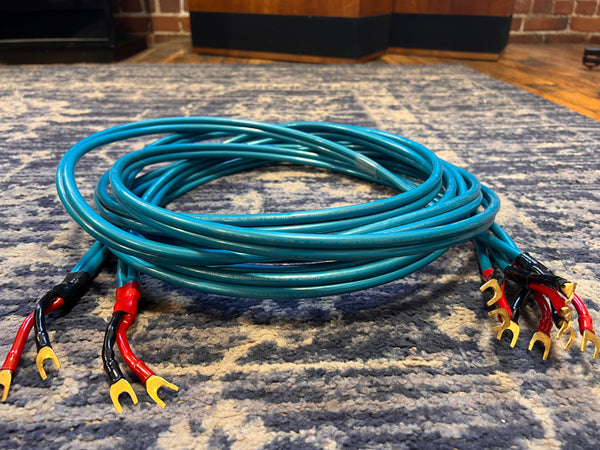 Wireworld Atlantis II Discrete Bi-wire Speaker Lines, 13-footers