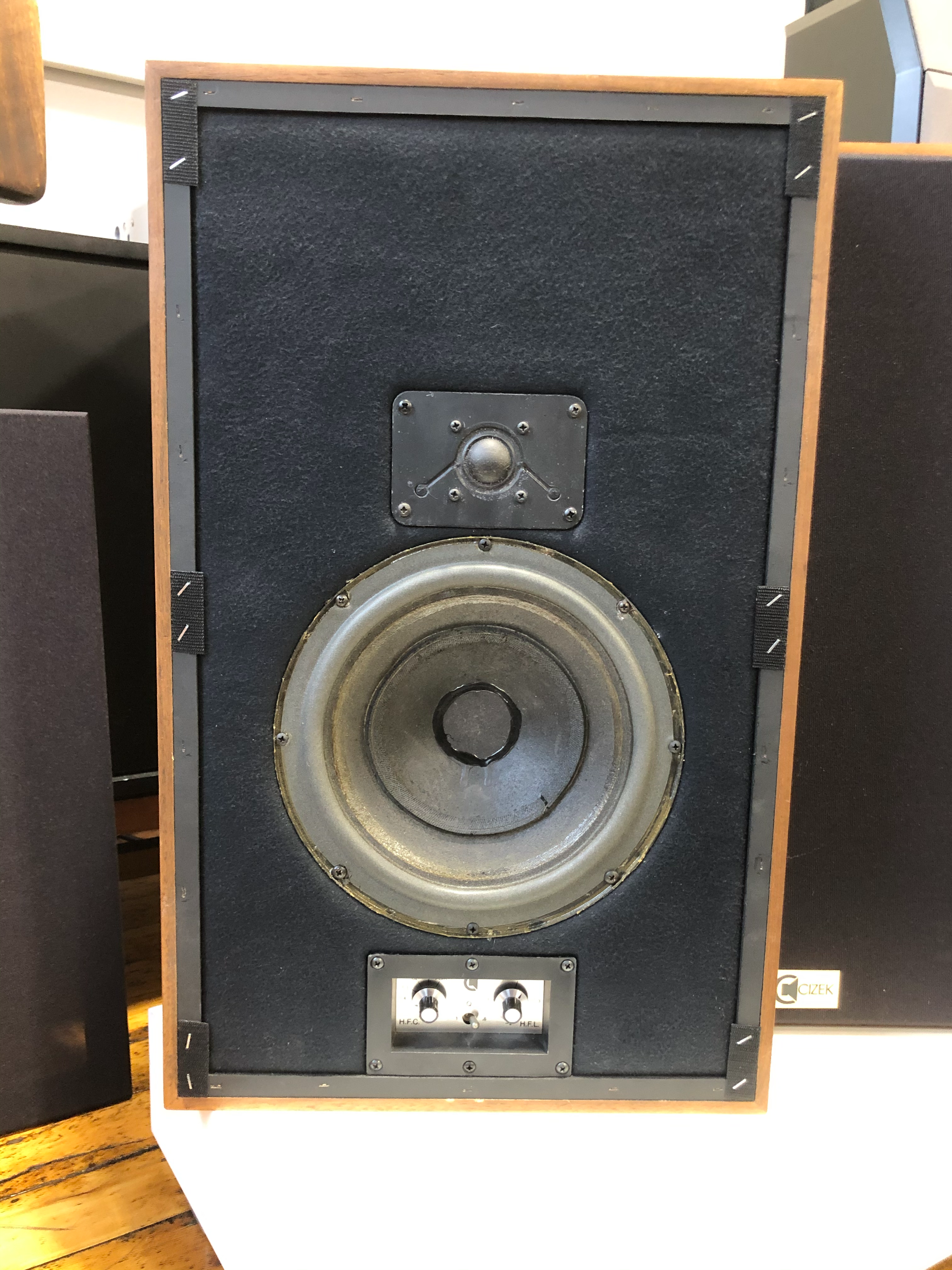 Cizek Model One Loudspeakers, Unique Design - SOLD