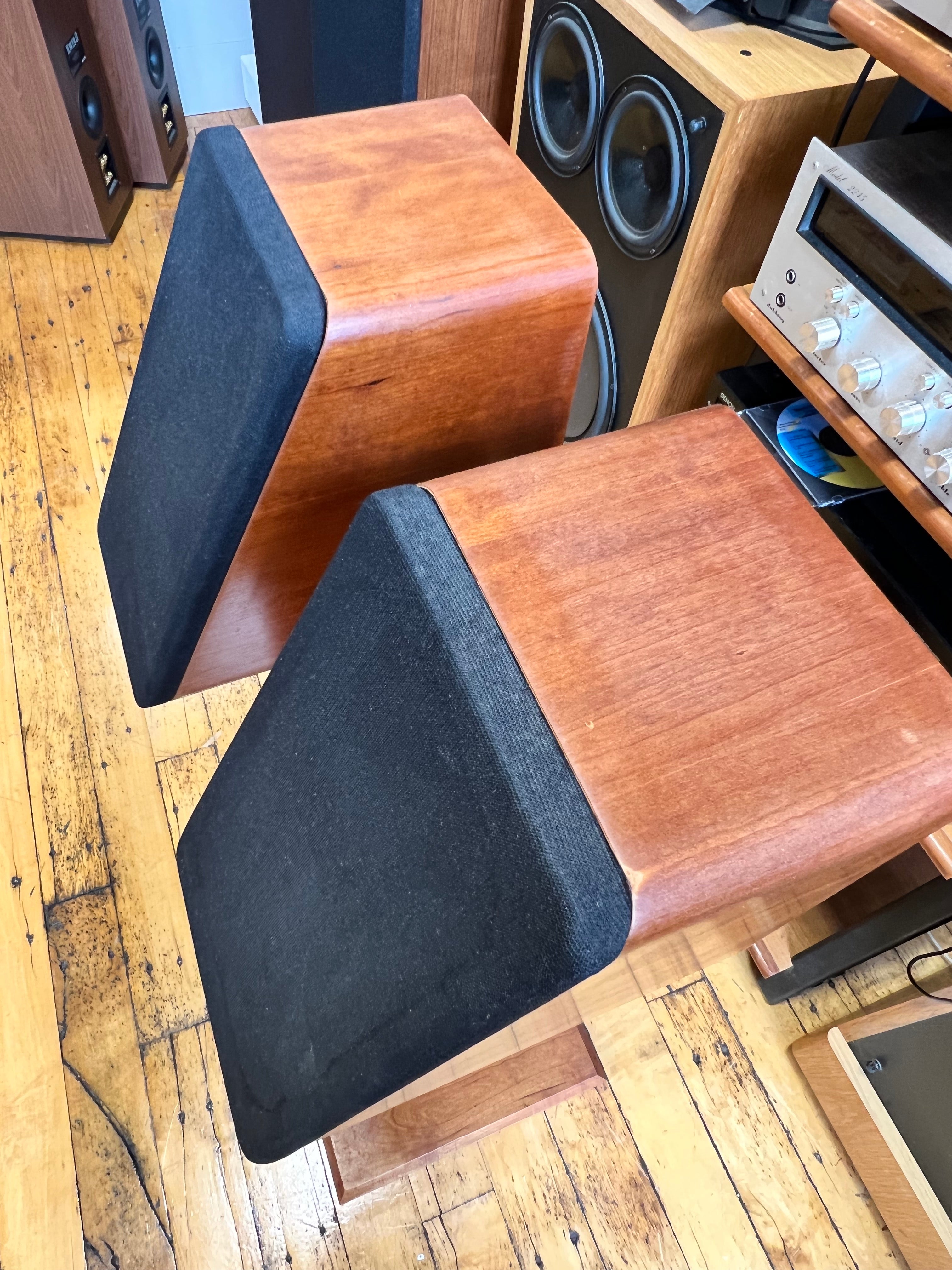 Audio Concepts, Inc. (ACI) LV Monitors with Stands - SOLD – Holt