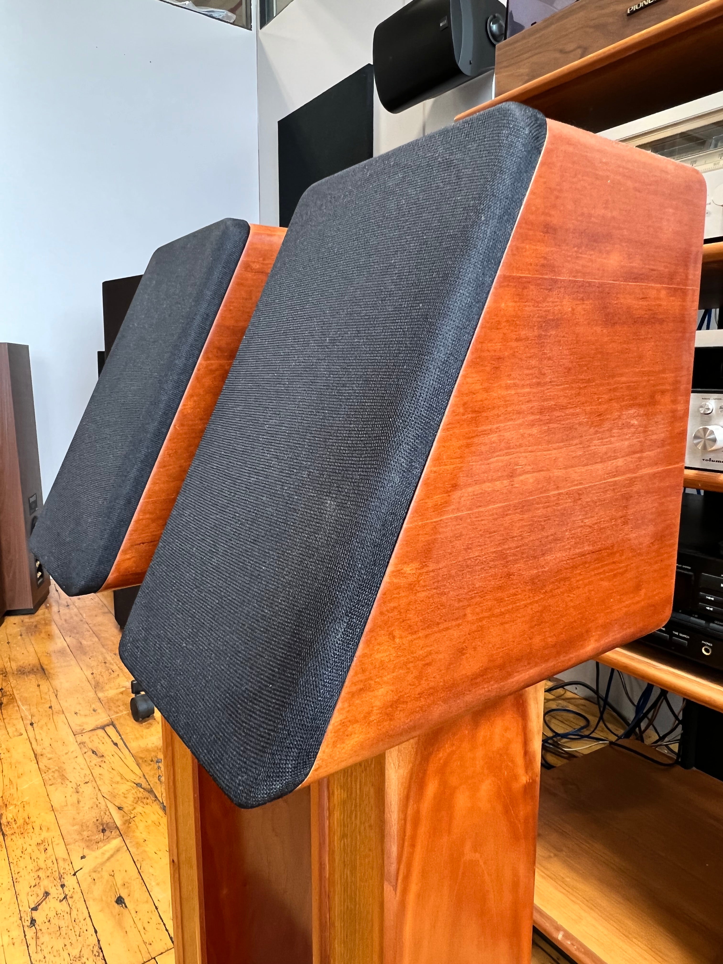 Audio Concepts, Inc. (ACI) LV Monitors with Stands - SOLD