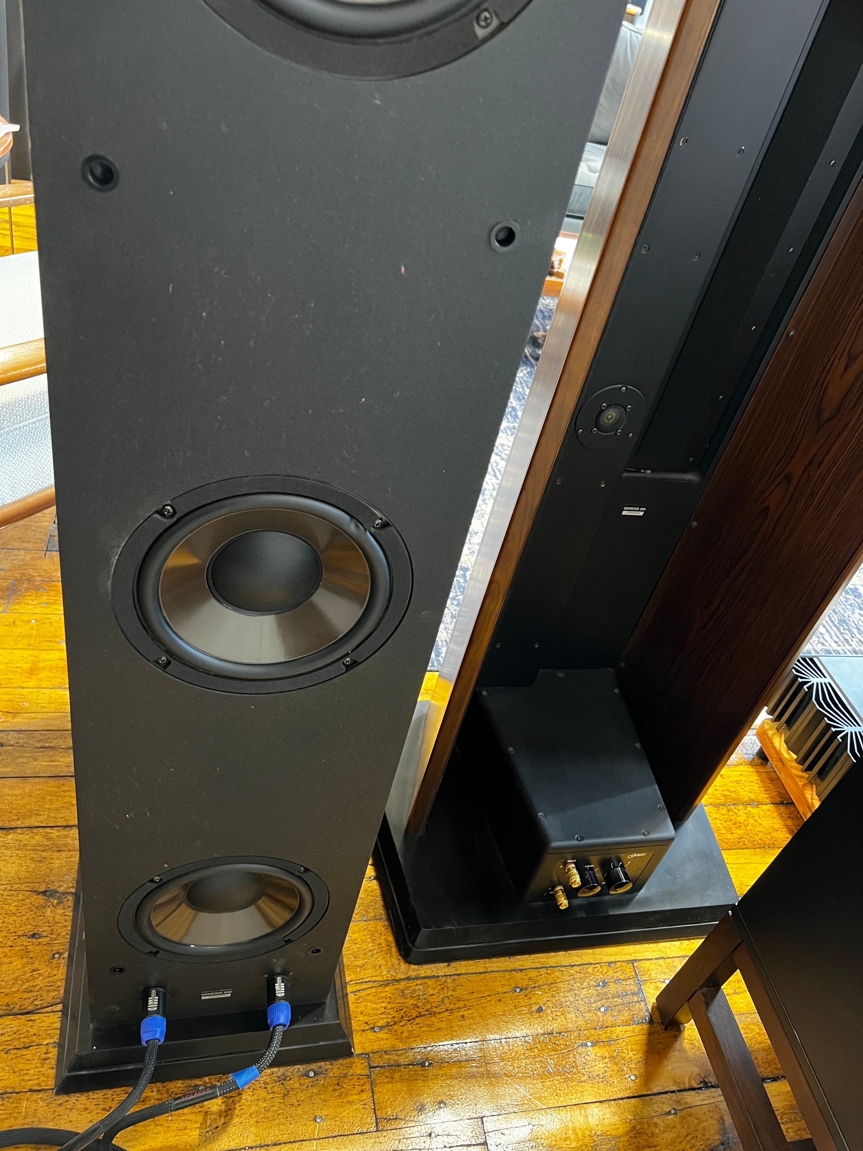 Genesis Technologies 200 Loudspeaker System, Astounding! - SOLD – Holt ...