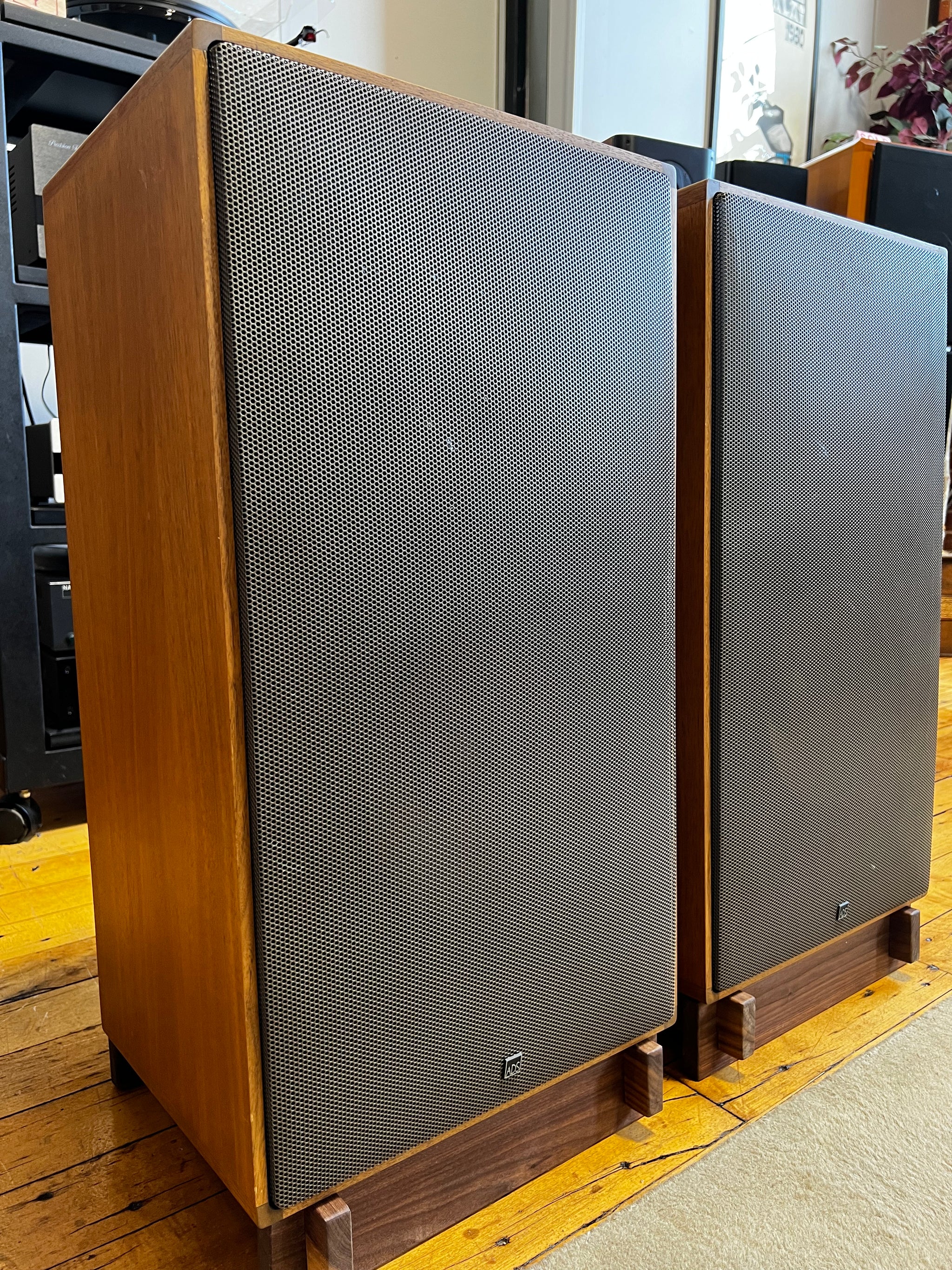 ADS BC8/L730 **Extremely Rare** Broadcast Monitor - SOLD – Holt