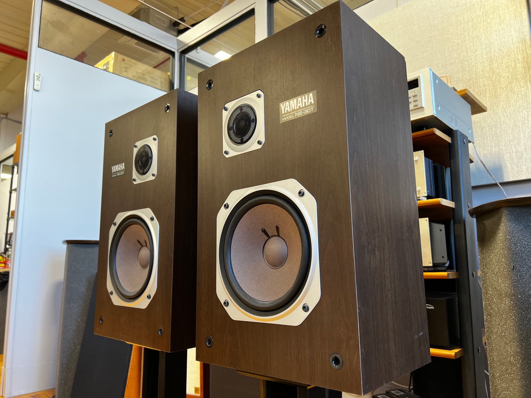 Yamaha NS-30T, 