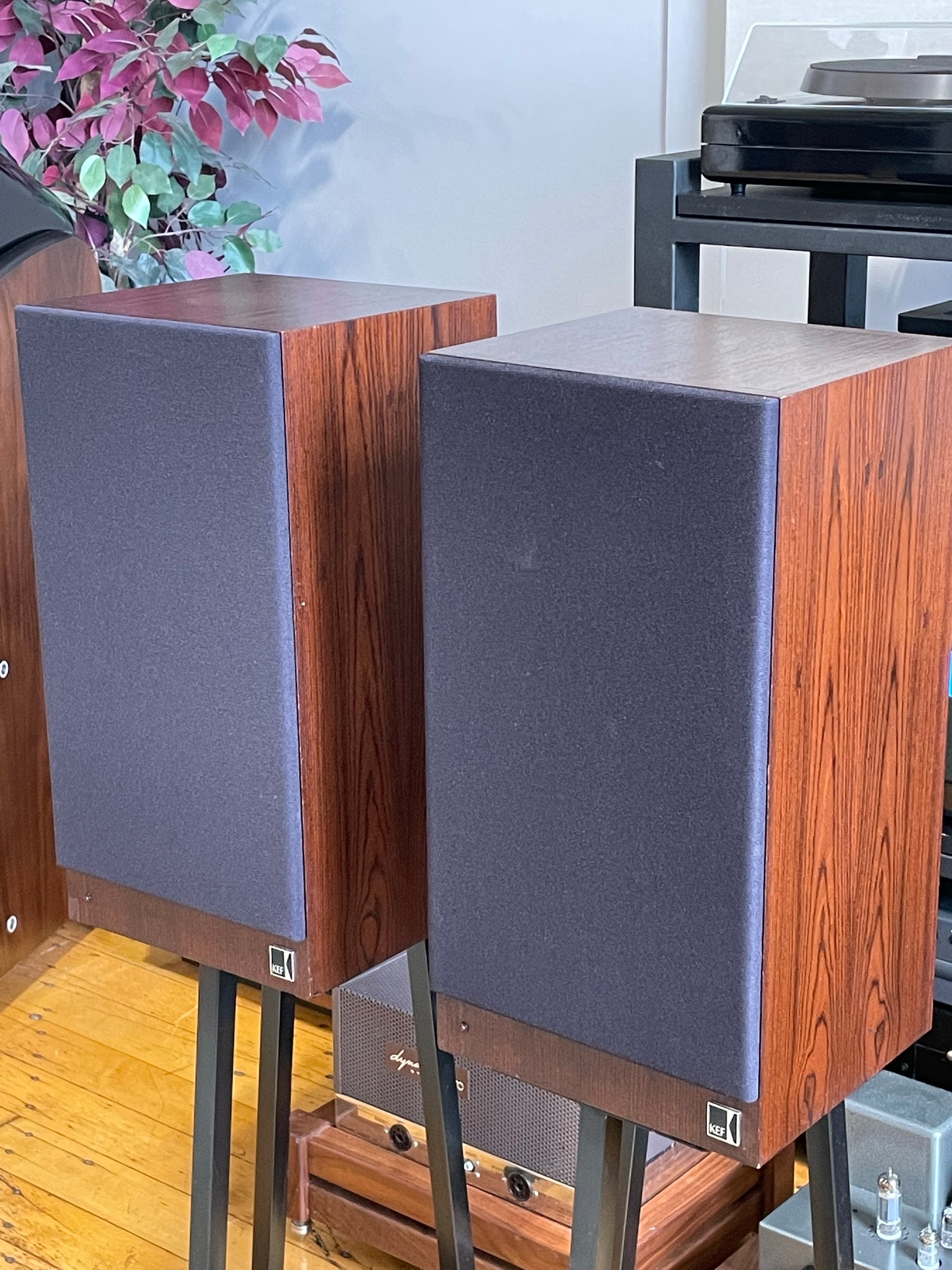 KEF Reference 103.2 Bookshelf Monitors - SOLD – Holt Hill Audio