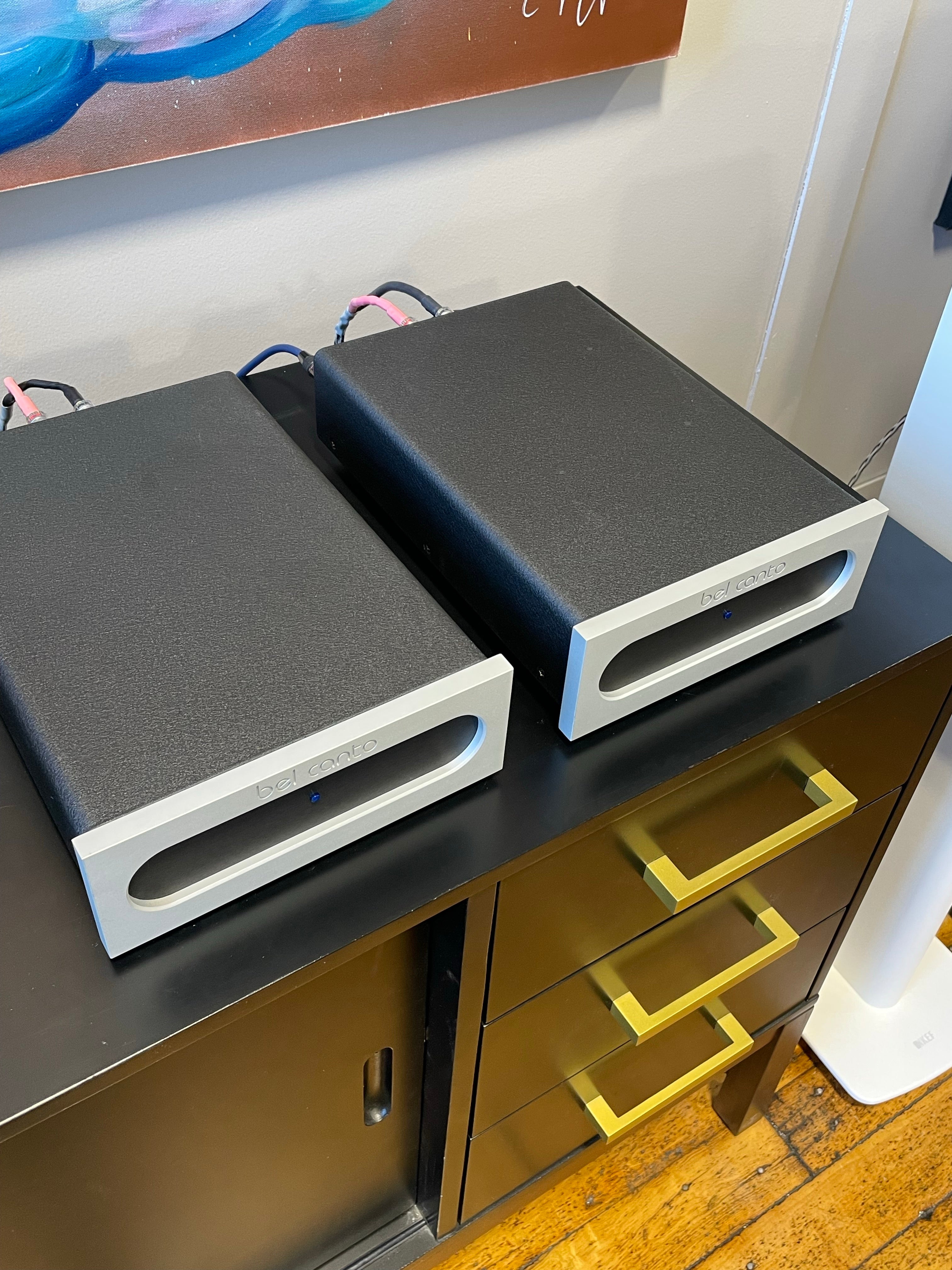 Bel Canto, e.One M300 Monoblock Amplifiers - SOLD